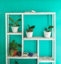 Minimalist decoration storage ideas for books and mini plant with aquagreen colour