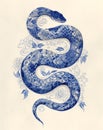 Minimalist delicate snake and flowers illustration. Blue and white porcelain style oriental tattoo sketch. Chinese New Year 2025 Royalty Free Stock Photo