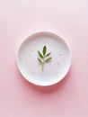 Minimalist design with elegant white ceramic plate on pink background Royalty Free Stock Photo