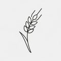 The minimalist design emphasizes the structure and linearity of the wheat plant Royalty Free Stock Photo