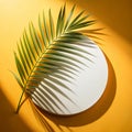 Circle with shadow from a palm leaf on color stylish bright background to show products Royalty Free Stock Photo