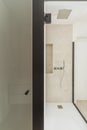 Minimalist design toilet with shower cabin with glass partition and toilet separated by a wall and glass door