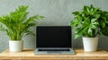 Minimalist Desk Laptop and Plants, tidy workspace with laptop centered, AI Generated