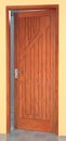 Minimalist modern doors, classic doors P1