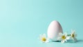 Minimalist Easter composition with white egg and delicate white flowers on pastel blue background with copy space Royalty Free Stock Photo