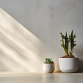 Minimalist Elegance: Still Life of Micro Cement Wall and Cactus in a High-End Environment