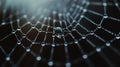 Spider Web with Dew in Minimalist Dark Tones and Soft Bokeh