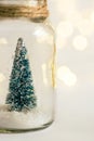 Minimalist elegant Christmas new years greeting card poster with small fir tree in glass jar in snow. Golden garland bokeh lights Royalty Free Stock Photo