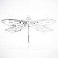 Minimalist elegant Dragonfly Royalty Free Stock Photo