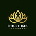Minimalist Elegant Lotus logo, Gold fashion Cosmetic Spa modern logos Designs Vector