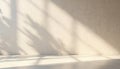 Minimalist empty room interior with light beige textured wall and floor. Sunlight casts soft plant leaf shadows creating natural Royalty Free Stock Photo