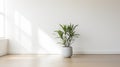 Minimalist Empty Room With Tranquil Planter