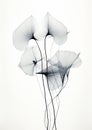 Minimalist ethereal dark botany x-ray illustration