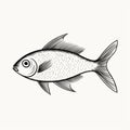 Minimalist Fish Drawing: Silver Ornate Simplicity Illustration