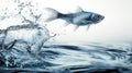 Minimalist Fish Jumping Out of Water Royalty Free Stock Photo