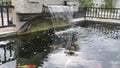 minimalist fish pond, rectangular pond with a small waterfall, suitable for the front yard of the house