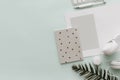 Minimalist Flat Lay Hipster Desktop. Blogger Pastel Background With notebook