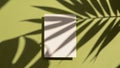 Minimalist flat lay with tropical leaf shadow on cream card Royalty Free Stock Photo