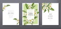 Minimalist floral tropical trendy greeting or wedding invitation card template design, set of poster, flyer, brochure, cover party