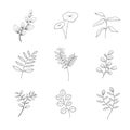 Minimalist flowers and botanic collection. Hand drawn floral branch, leaves herbs and wild plants set in line style. For Royalty Free Stock Photo