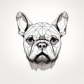 Minimalist Geometric Bulldog Head Drawing On White Background