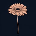Minimalist Gerbera Flower Painting With Dark Backgrounds