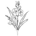 minimalist gladiolus flower tattoo, wrist gladiolus tattoo simple, women\'s gladiolus tattoo