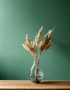 Minimalist glass vase of dried grasses on a green background. Royalty Free Stock Photo