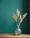 Minimalist glass vase of dried grasses on a green background. Royalty Free Stock Photo