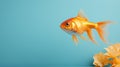 Minimalist Goldfish Photography: Contemporary Fact Versus Fiction