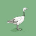 Minimalist Goose Sketch In Green And White With Thick Lines In 8k Quality