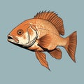 Minimalist Graphic Drawing Of Snapper With Fantastic Full Face Royalty Free Stock Photo