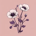 Minimalist Graphic Illustrations: Blooming Poppy Flowers On Pink Background