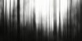 Minimalist Grayscale Vertical Lines with a Modern Touch