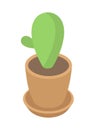 Minimalist green cactus growing in pot isometric vector Mexican desert plant for home and office