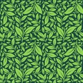 Minimalist green leaf seamless pattern. floral leaf background. Tropical floral leaf pattern vector Royalty Free Stock Photo