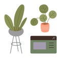 Minimalist greenery with two potted plants and a simple website interface layout design Royalty Free Stock Photo