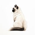 Minimalist Hand-drawn Birman Cat Portrait