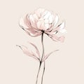 Minimalist Hand Drawn Peony Flower Artwork On Beige Background