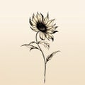 Minimalist Hand-drawn Sunflower Abstract Black And White Art Royalty Free Stock Photo