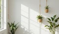 Minimalist Hanging Plants on White Wall - Modern Home Decor Royalty Free Stock Photo