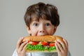 Minimalist High Stock Style Surprising Boy Enjoying Sandwich On White Background