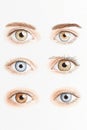 Minimalist illustration of common vision issues with a focus on eye function decline Royalty Free Stock Photo