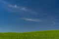 Minimalist green cereal fields and sky Royalty Free Stock Photo