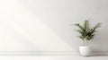 Minimalist indoor white background with green plant in pot