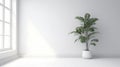 Minimalist indoor white background with window and green plant in pot