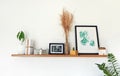 Minimalist interior decor, wooden shelf, pictures, pamapas grass.