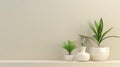 Minimalist Interior Decor with Green Houseplants and White Vases