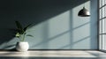 Minimalist interior with potted plant and shadows Royalty Free Stock Photo