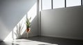 Minimalist Interior Room with Snake Plant and Strong Sunlight Casting Shadows empty white walls Royalty Free Stock Photo